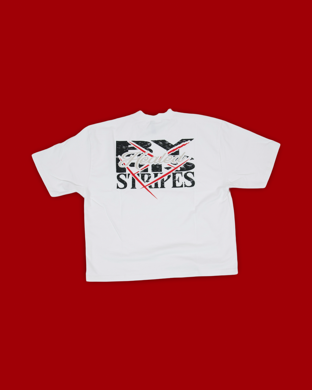 “BY HIS STRIPES” T Shirt