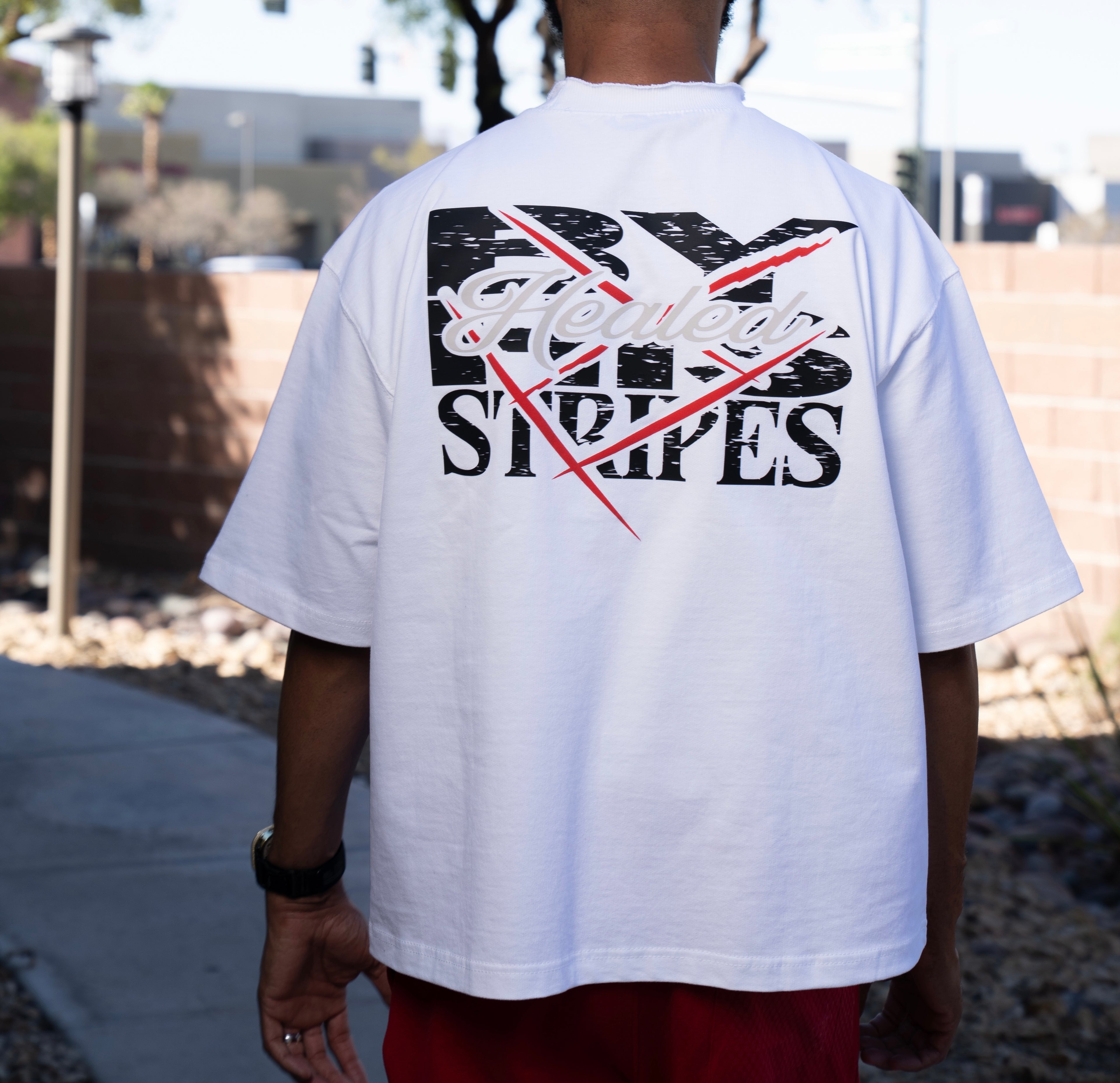 “BY HIS STRIPES” T Shirt