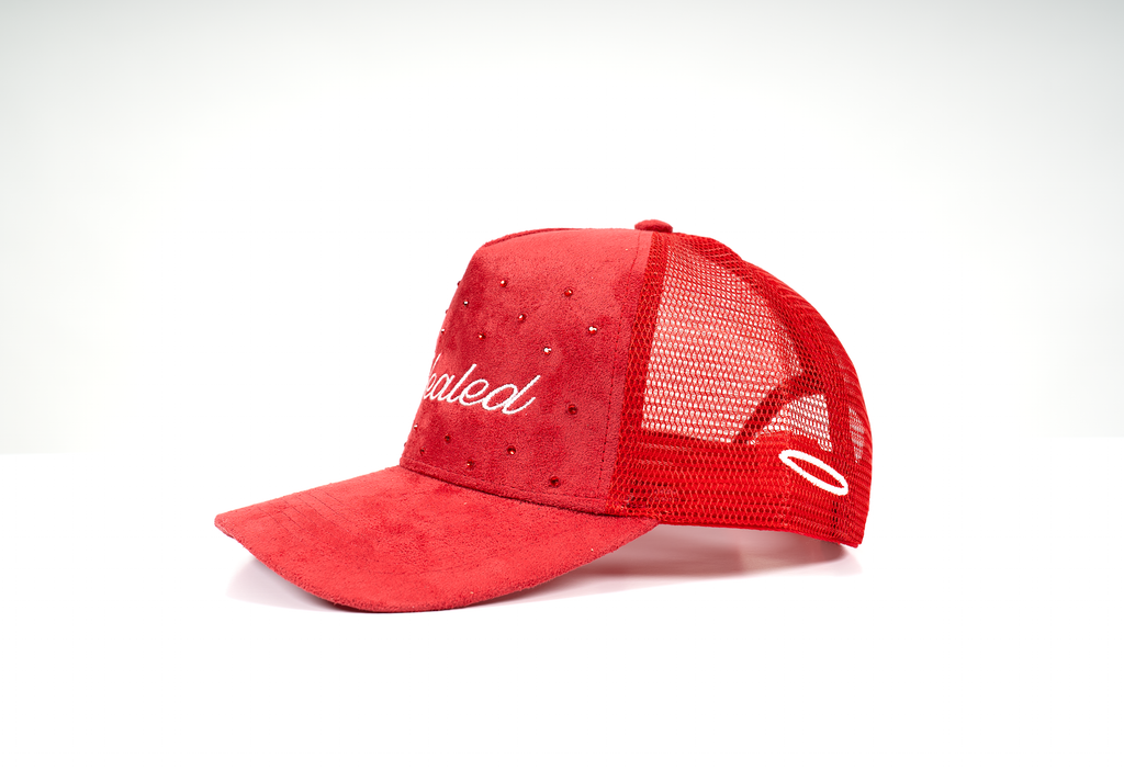 “HEALED” Trucker