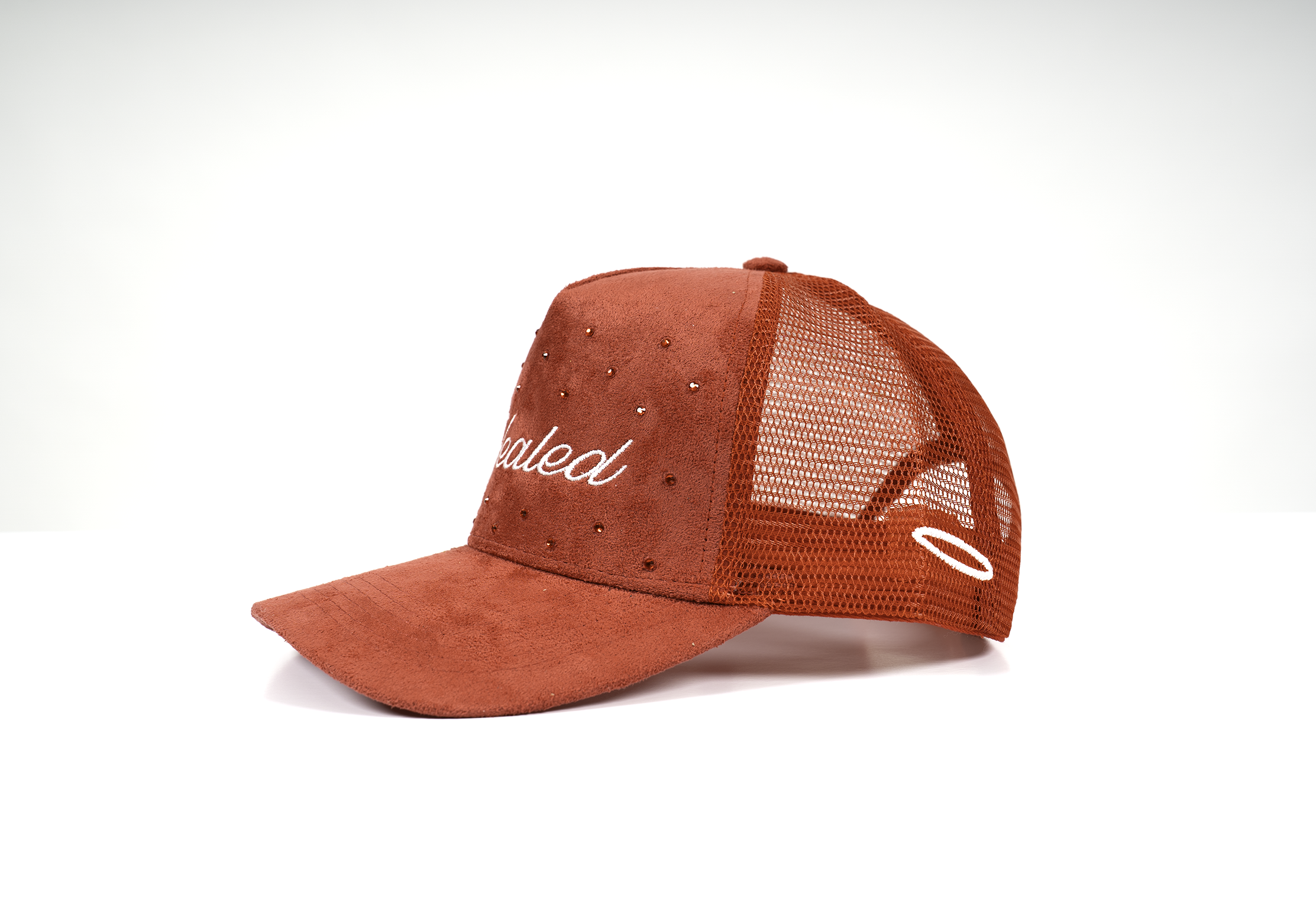 “HEALED” Trucker